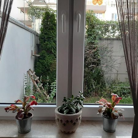 Apartament Di Trevi - Klimatyzacja Lägenhet Wrocław Exteriör bild